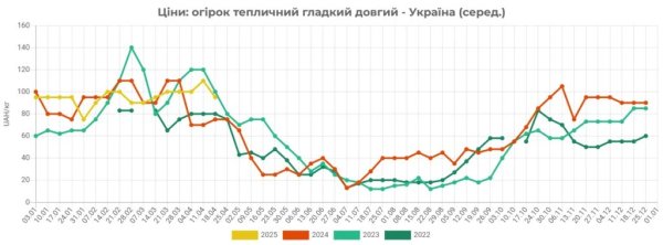 В Україні на 42% подешевшали тепличні огірки В Україні на 42% подешевшали тепличні огірки