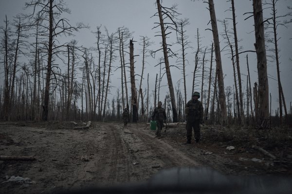 Академік НАН: На місці Каховського водосховища за 20 років виросте унікальний ліс
Академік НАН: На місці Каховського водосховища за 20 років виросте унікальний ліс
