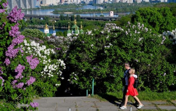 Де у Києві розцвів бузок: найкращі місця для прогулянок і фото
Де у Києві розцвів бузок: найкращі місця для прогулянок і фото