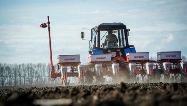 Українські аграрії посіяли вже мільйон гектарів ярих культур Українські аграрії посіяли вже мільйон гектарів ярих культур