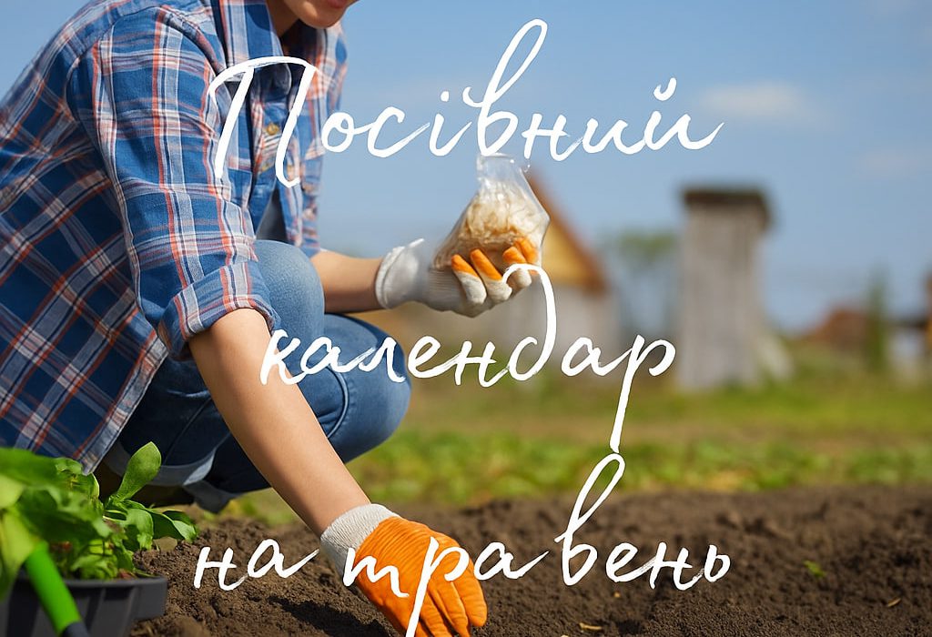 Посівний календар на травень 2025