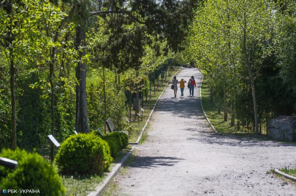 Бузок старіє, а кедр стане новим символом Києва, - Микола Шумик, Ботсад ім. Гришка
Бузок старіє, а кедр стане новим символом Києва, - Микола Шумик, Ботсад ім. Гришка