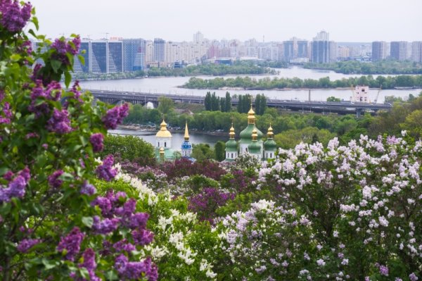 Бузок старіє, а кедр стане новим символом Києва, - Микола Шумик, Ботсад ім. Гришка
Бузок старіє, а кедр стане новим символом Києва, - Микола Шумик, Ботсад ім. Гришка