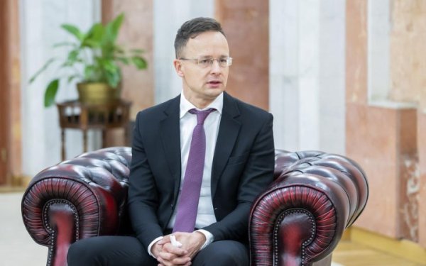 Міністри закордонних справ Польщі та Угорщини посварились через Україну
Міністри закордонних справ Польщі та Угорщини посварились через Україну
