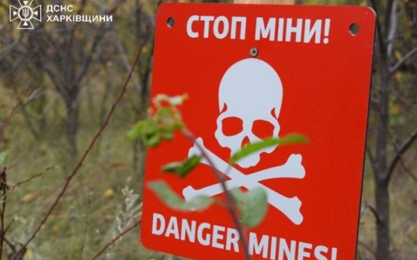 На Херсонщині на міні підірвався ще один мешканець
На Херсонщині на міні підірвався ще один мешканець
