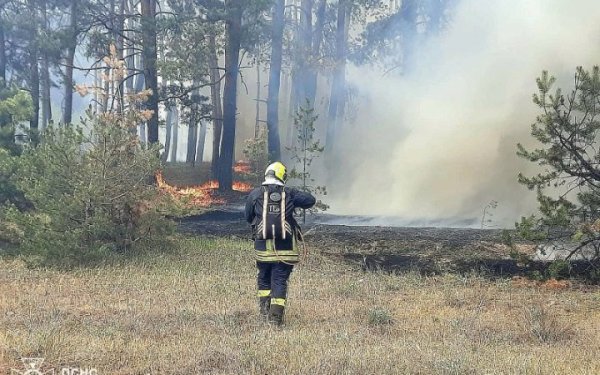 На Харківщині пожежа через детонацію боєприпасів охопила 20 га
На Харківщині пожежа через детонацію боєприпасів охопила 20 га