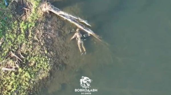 "Город сравняли с землей": военные показали Волчанск через год после наступления РФ "Город сравняли с землей": военные показали Волчанск через год после наступления РФ