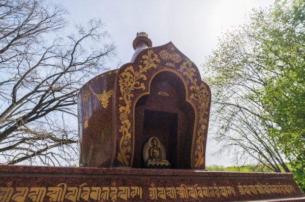 Бузок старіє, а кедр стане новим символом Києва, - Микола Шумик, Ботсад ім. Гришка
Бузок старіє, а кедр стане новим символом Києва, - Микола Шумик, Ботсад ім. Гришка