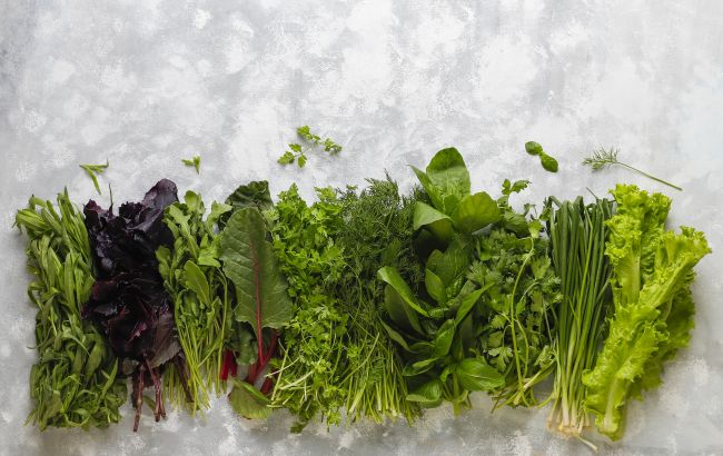 Як заготовити духмяну зелень на зиму
