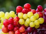 Чи можна їсти виноград із кісточками: користь, можлива шкода і чи потрібно їх випльовувати
