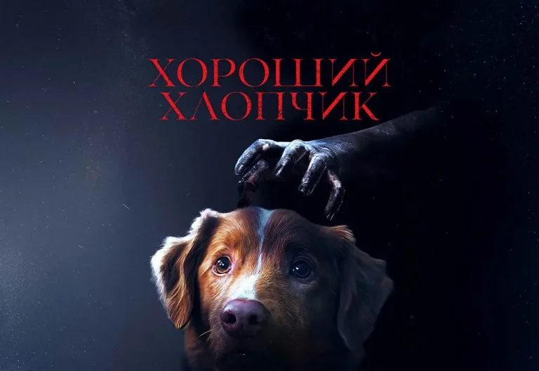 "Хороший хлопчик" — новий горор, де головний герой — вірний пес: тизер-трейлер уже доступний (відео)