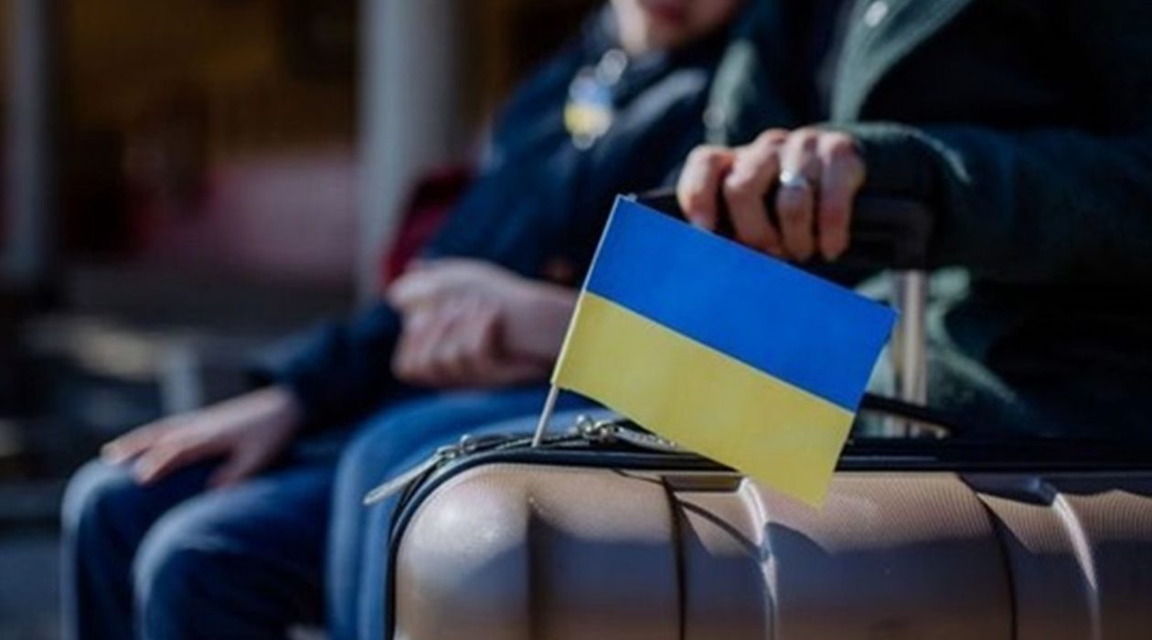 Зміни в соціальній допомозі Німеччини: що чекає на українців після скасування Bürgergeld з 2026 року?