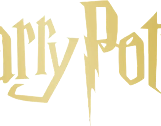 Гаррі Поттер і Зимовий фестиваль 2025 у Києві 27 і 28 грудня: де купити і скільки коштують квитки на магію і свято