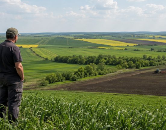 Скільки коштує гектар землі в Україні: середня ціна та регіони-лідери