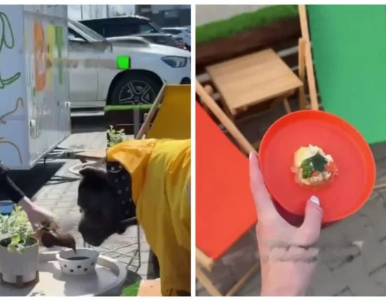 У Києві відкрили кафе для собак: що пропонують улюбленцям у Doggy Food Truck
