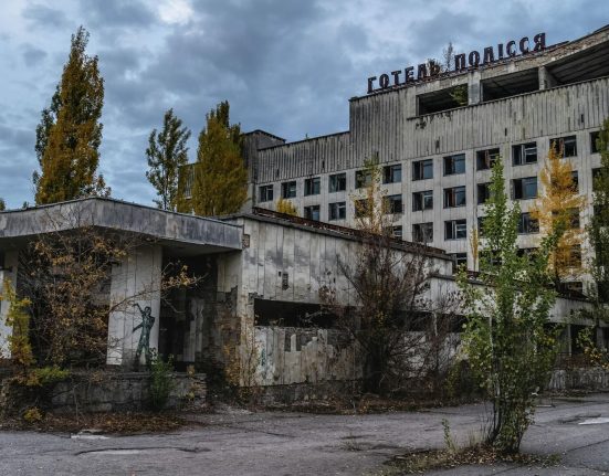 У Чорнобильській зоні помітили нового хижака: як він виглядає і наскільки небезпечний