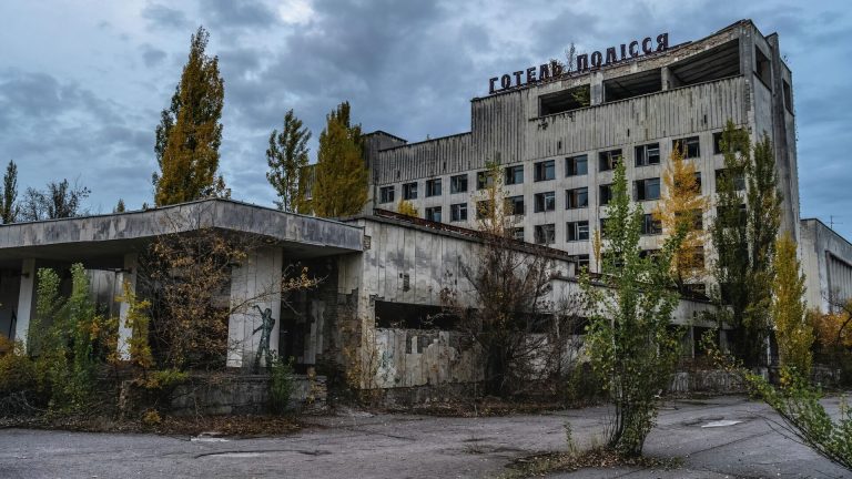 У Чорнобильській зоні помітили нового хижака: як він виглядає і наскільки небезпечний