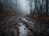 До чого сниться бруд: значення сну за різними сюжетами та відомими сонниками
