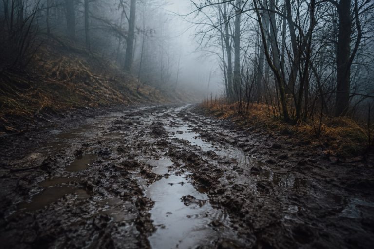 До чого сниться бруд: значення сну за різними сюжетами та відомими сонниками